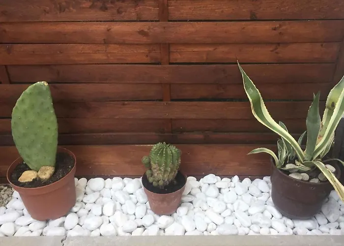 In - Balaton 20220 펜션